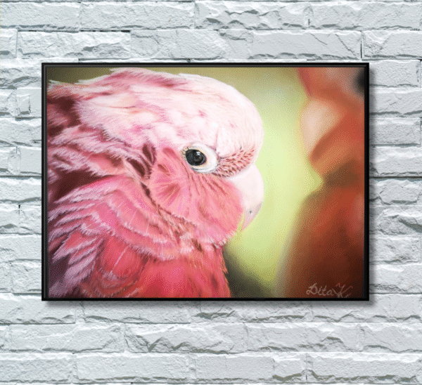 Gallah parrot print based on an original artwork