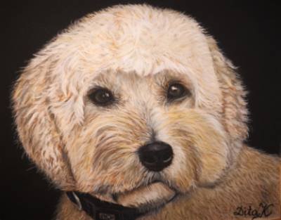 Teddy small