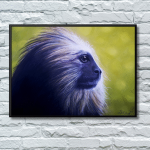 Golden headed lion tamarin print based on an original artwork